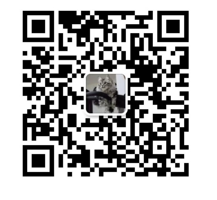 the qr code